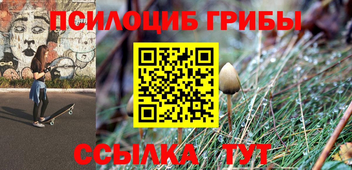 Галлюциногенные грибы прущие грибы  Псилоцибиновые грибы Psilocybe  Вход с VPN  Муром 