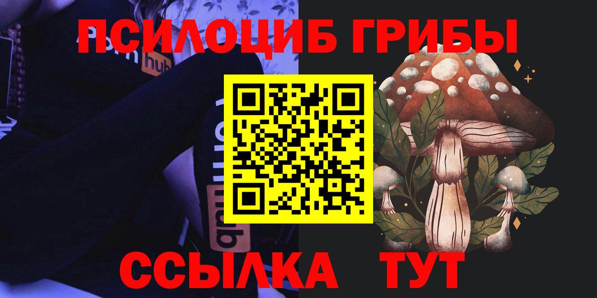Галлюциногенные грибы Psilocybe Муром